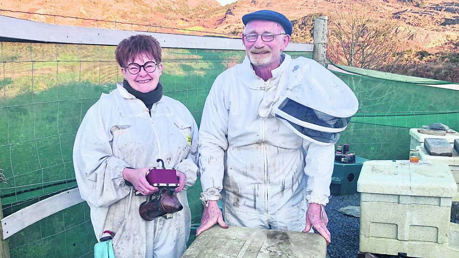 Great buzz around the formation of new Mizen beekeepers’ group Image