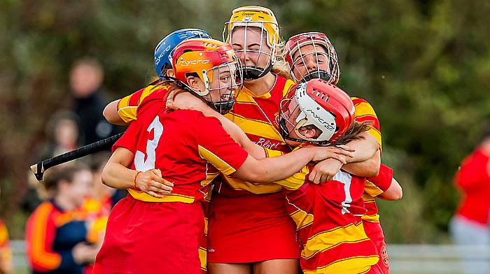 Hilda Kenneally will continue playing as Newcestown camogie go senior Image