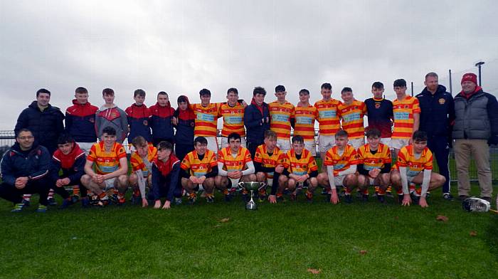 Newcestown minor hurlers show their class in county final triumph Image