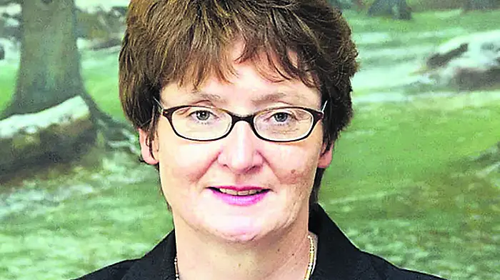 Cocaine is a ‘slippery slope’ judge warns CIT graduate Image