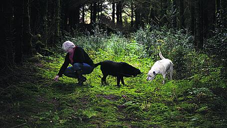 Sink into forest bathing bliss Image