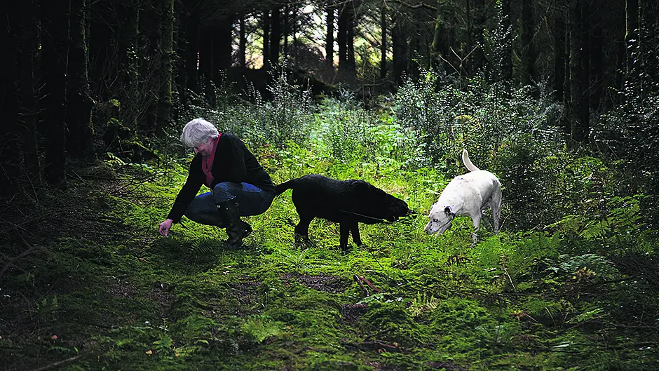 Sink into forest bathing bliss Image