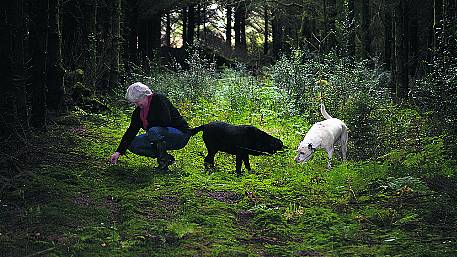 Sink into forest bathing bliss Image