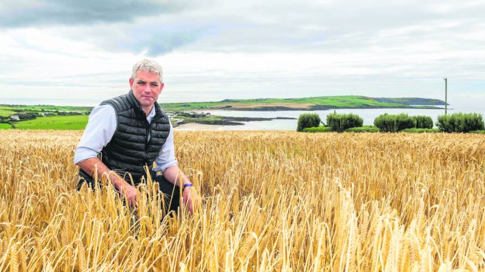 Lombard: Fodder scheme a ‘solid first step’ for farmers Image