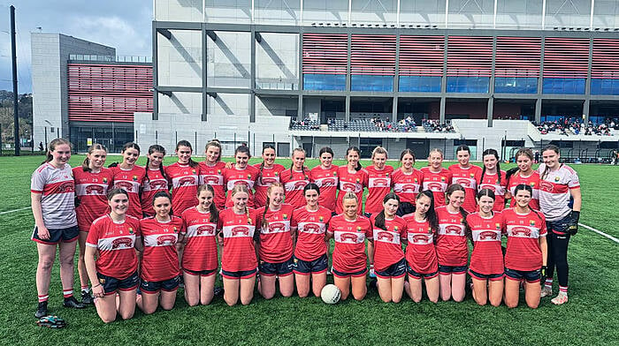 Cork will face Kerry in both Munster U16 A and B finals Image