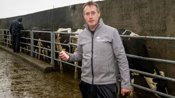 Stars aligned for Kinsale’s Desmond as Moonsyst changing future farming Image