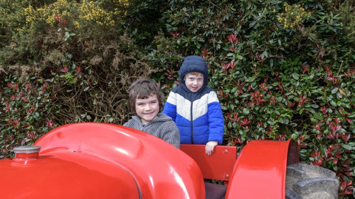 Tadhg O'Neill (Dunmanway) and Conor O'Sullivan (Drimoleague) enjoying their day at the Drimoleague tractor, truck and car run which was held recently in aid of Bantry Stroke Unit and West Cork Jesters.   (Photo: David Patterson)