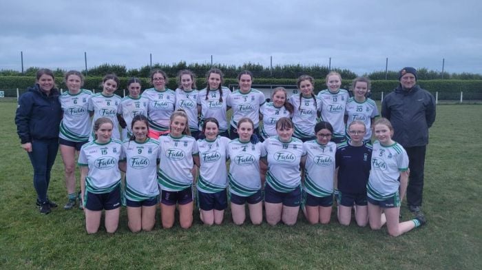 The Ilen Rovers U16 team that kicked off their West Cork ladies football league with a fine win over Valley Rovers.  Back (from left): Rachel Hickey, Mary Bushe, Saorla Carey, Maria Connolly, Ellen Connolly, Sarah Keating, Victoria Haffner, Clodagh Hickey, Maeve Whooley, Cliona Herlihy, Alannah O'Driscoll, Claire Collins and John O'Driscoll.  Front (from left): Ava Murphy, Hannah O'Driscoll, Carla O'Regan, Tara Duggan, Neasa Daly, Siobhan Hickey, Lorraine Coakley, Mia Crowley and Lucy O'Driscoll.