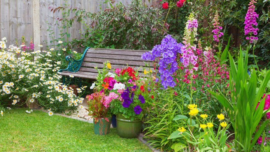 Make your garden both pretty and practical Image