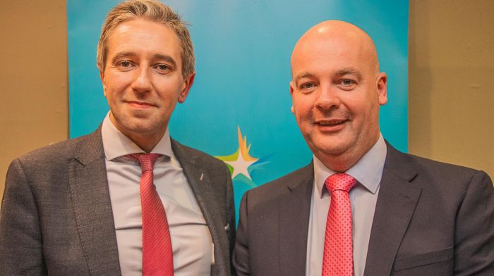 Gerard pledges to deliver on ‘new Fine Gael energy’ if elected Image