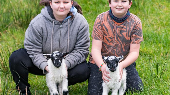 Chloe and Stephen Hurley looking after their new lambs.   (Photo: Anne Marie Cronin)