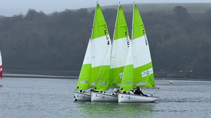 Firefly dinghies competing in Bantry Bay.