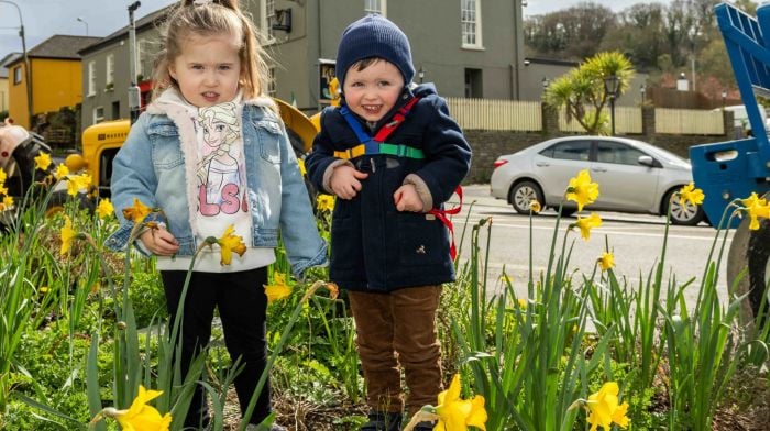 Leap and District Vintage Club held its annual tractor run on April 1st in aid of Marymount Hospice and Bru Columbanus where Ellie O’Donovan (3) from Caheragh and Matthew McCaughey (2) from Leap admired the daffodils.   (Photo: Andy Gibson)