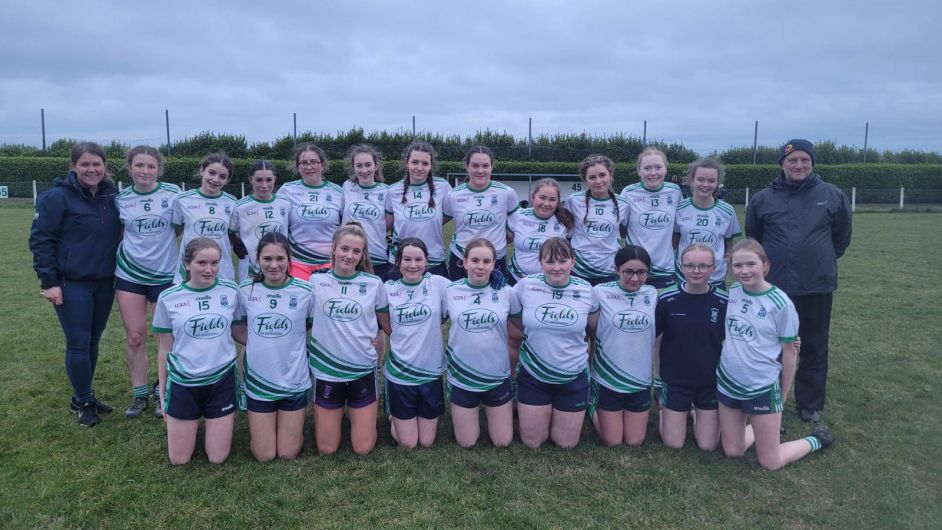 GAA CLUB NOTES: Mairead O'Driscoll stars as Castlehaven ladies win on the road Image