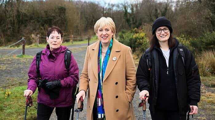 Sheep's Head and island trails to benefit from walks funding Image