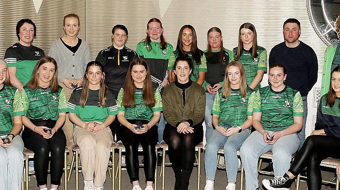 A year to remember for Ross ladies club Image