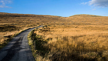 Funding for works to local trails will aid ‘walks’ tourism Image