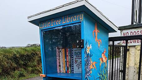 Charming ‘tiny’ library in school Image