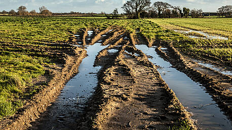 Wet weather requires more farm safety measures Image