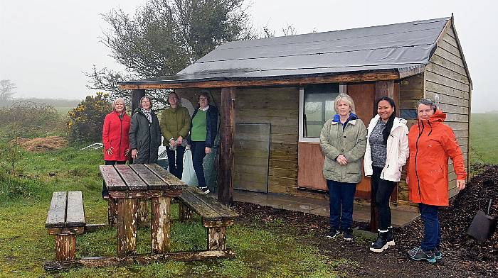 A Shed-load of connections in Clonakilty Image