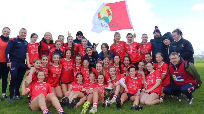 Cork triumph as Kingdom left in wake Image