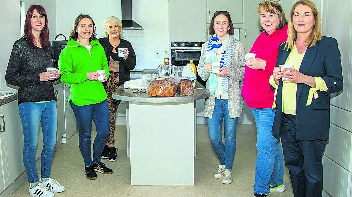 Helping out with the catering at the Clogagh School Tractor Run were Sarah Hennessy, Claire Twomey,
Aoife Deasy, Grace O’Sullivan, Claire O’Sullivan and Aileen Cashman. (Photo: Gearoid Holland)