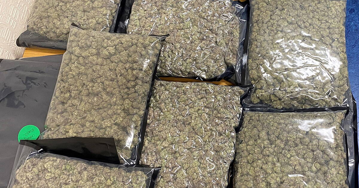 BREAKING: Major drugs seizure in Skibbereen - Vimarsana News