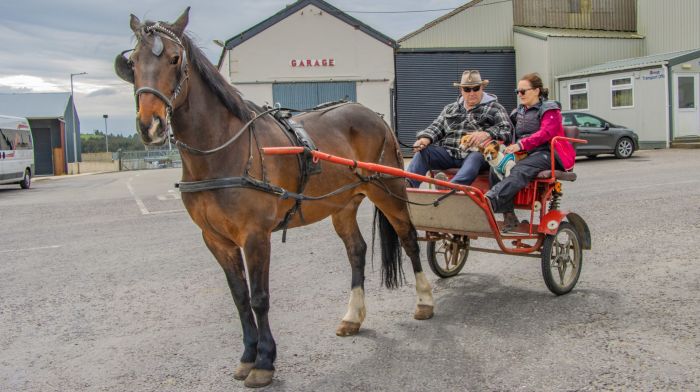 John Regan, Yvonne Hagan and their dogs, “Socks and Rex,” and their horse “Socks,” at the Drinagh Cheval event in aid of Drinagh Playschool.