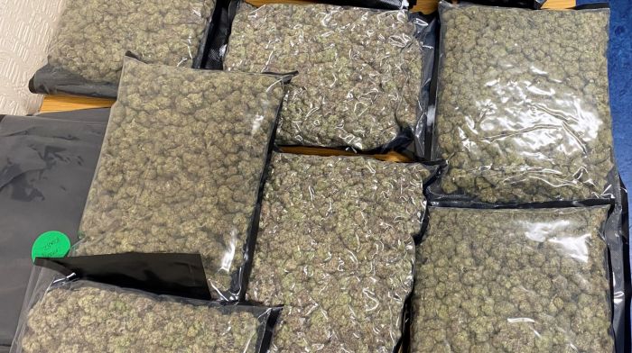 Gardaí believe drugs were ready to sell Image