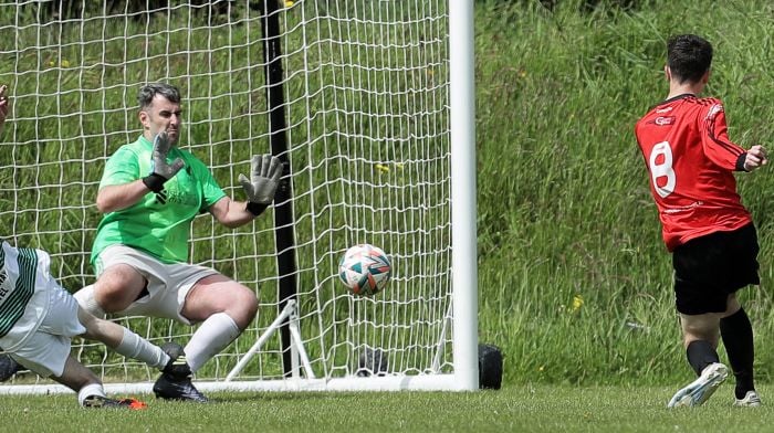 ‘If we win this title, it will be the best the club has ever won,’ says Drinagh manager Danny McQueen Image