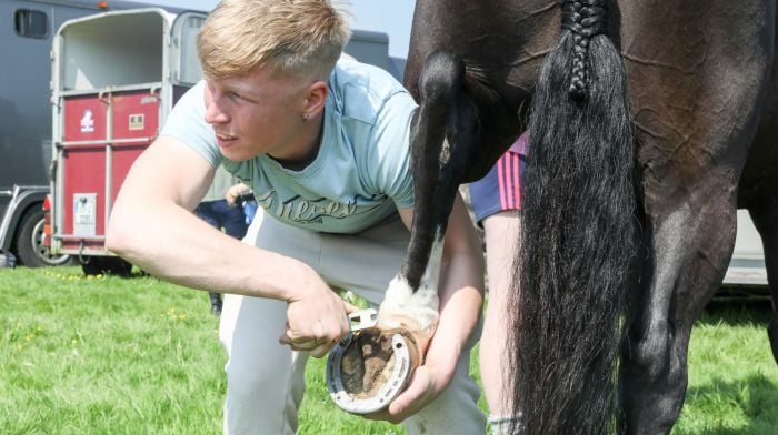 Conor O'Mahony from Kilbrittain cleaning the hoof of a horse at the annual Bandon Agricultural Show.  (Photo: David Creedon)