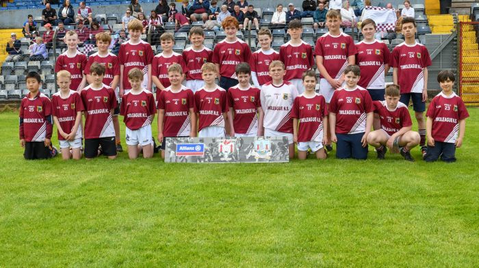 The Timoleague National School Sciath na Scol hurling team that contested the final at Pairc Ui Rinn are (back, from left): Paddy Dineen, Fallon Hegarty O’Brien, Simon Keohane, Seán O'Callaghan, Ross Murphy, Daniel Keohane, Donncha Deasy, Robert Leahy, Danny Foley, Oliver O'Riordan and Travis Asare.  Front (from left): Xizhi Xie, Ed Hough, Oscar Helena, Adam Griffin, Joey Doyle, Darragh O'Sullivan, Ólan Coomey, Ólan Walsh, Donagh Harte, Rory Deasy, Tom Connolly and Dominic Wysocki.