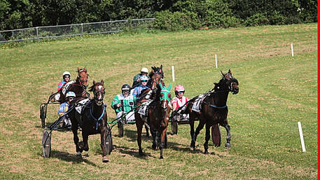 Leap-based Patrick Hill enjoys double at Dunmanway Image