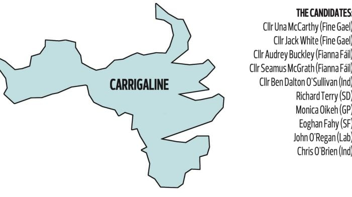 D’Alton exit means intriguing contest in Carrigaline Image