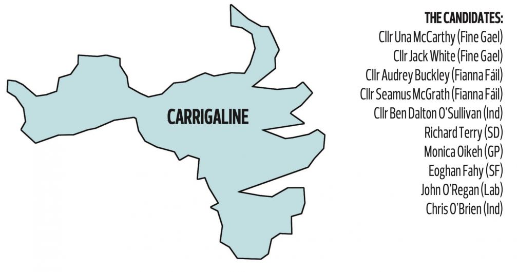 D’Alton exit means intriguing contest in Carrigaline Image