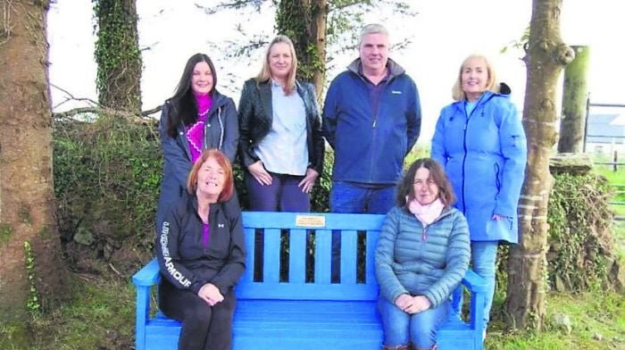 A lotta ‘Lotto’ love for Ahiohill Tidy Towns’ new bench Image