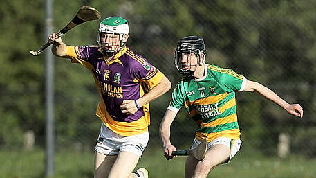 Gabriel Rangers advance to knock-out stages in Confined Junior B Hurling Championship because of goals scored Image