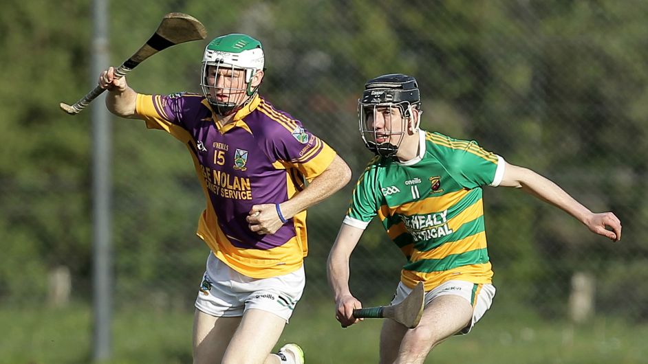 Gabriel Rangers advance to knock-out stages in Confined Junior B Hurling Championship because of goals scored Image