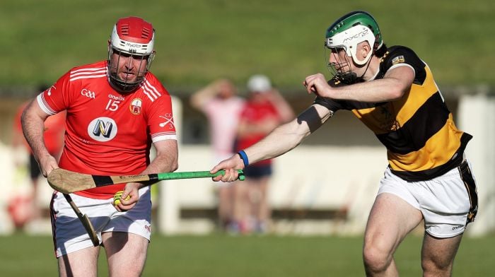Depleted O’Donovan Rossa taught lesson, but still through to county junior B hurling quarter-final Image