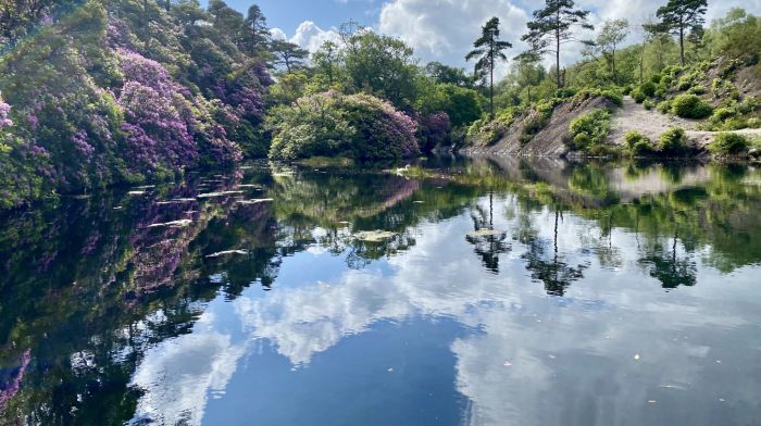 Leo McMahon captured a beautiful shot of reflections and rhododendrons at the Blue Pool, Glengarriff.