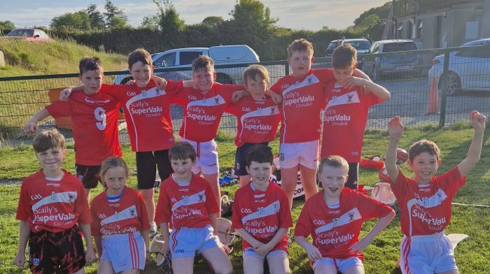 The Ballinascarthy U10 team included (back, from left): Arthur O'Leary, Jack O'Sullivan, Tim Heverin, Philip O'Flynn, Danny Deasy and Konrad Diamond. Front (from left): Kia Fleming, Edel O'Flynn, Oisín Deasy, Joseph McDermott, Cormac O'Callaghan and Arthur Walker.