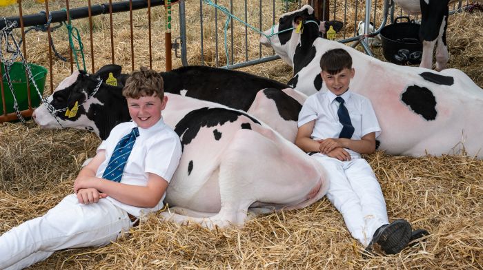 Michael O'Driscoll and Gearóid Long from Kilbrittain taking a rest at the Clonakilty Agricultural Show with their Holstein calves Hazel Knockbrown and Debbie Knockbrown.  (Photo: Tom Hayes)