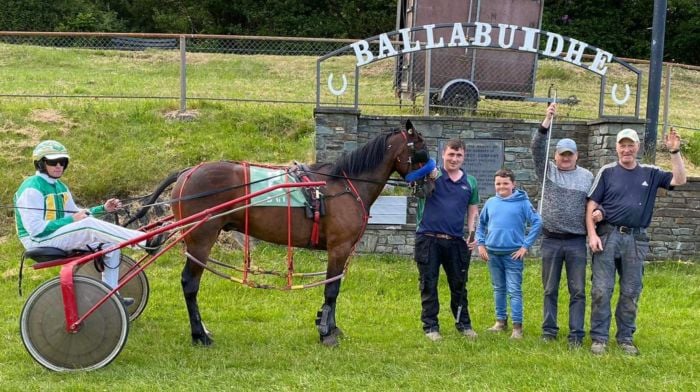 There has been another win for Liam O’Brien of Ballydehob and his horse Christy Brown in the Pace Grade and Grade 2 at Dunmanway Harness Races on Friday June 7th. From left: Michael O’Mahony (winning driver from Schull), Conor Hurley (trainer), Rian Hayes, Liam O’Brien and Mike Healy.