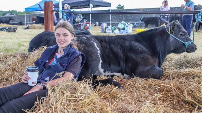 Clonakilty, Cork, Ireland. 09th June, 2024. Grace O'Donovan from Dunmanway has a mid morning coffee while relaxing on a six month old Belgian Blue calf at the annual agricultural show that was held in Clonakilty, Co. Cork. - Picture David Creedon