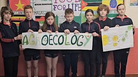 WATCH: Ballinspittle school in final of Irish Aid awards Image