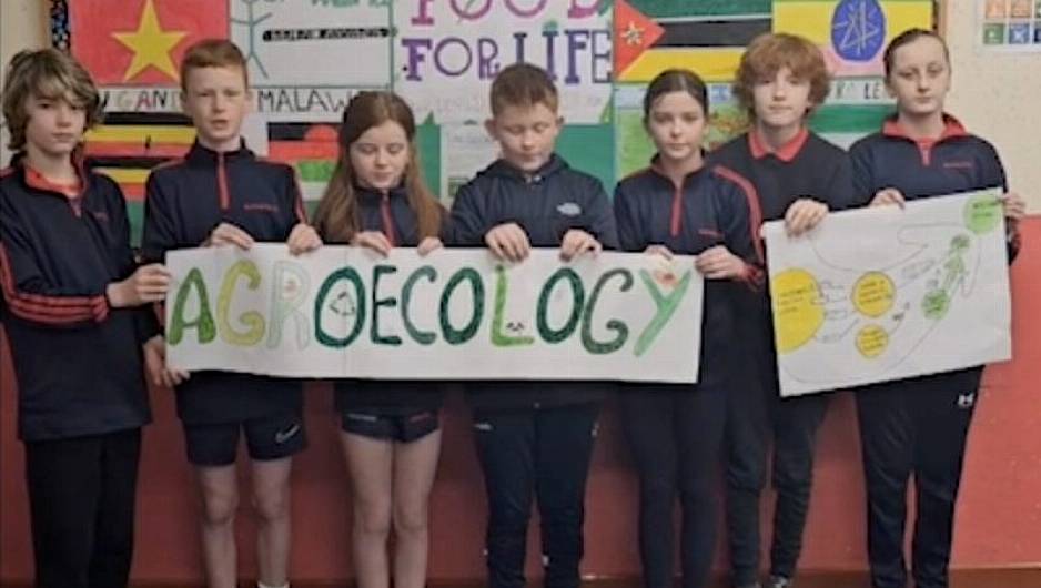 WATCH: Ballinspittle school in final of Irish Aid awards Image