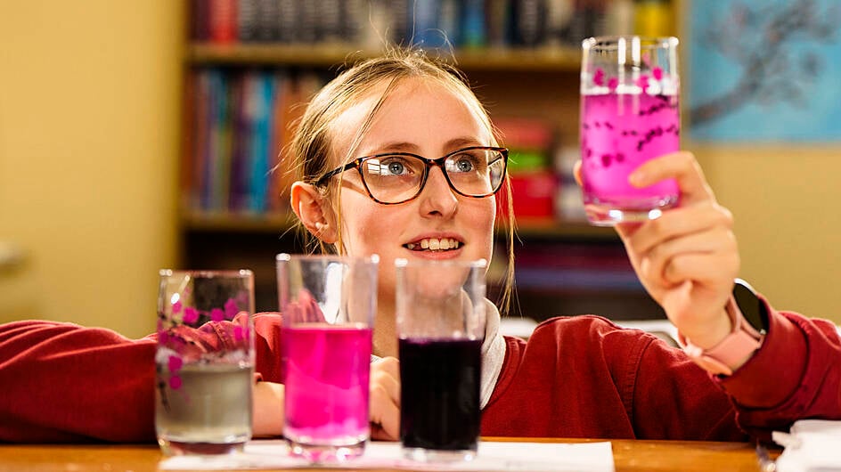 Hannah Barry-Hodnett working on the natural organic formula for Draíocht na Mara soap.  Pupils from 4th, 5th and 6th class from Lisheen National School won the Class of the Year award for their classroom business, Draíocht na Mara,  which is a natural, organic, seaweed soap.   (Photo: Jerry Kennelly)