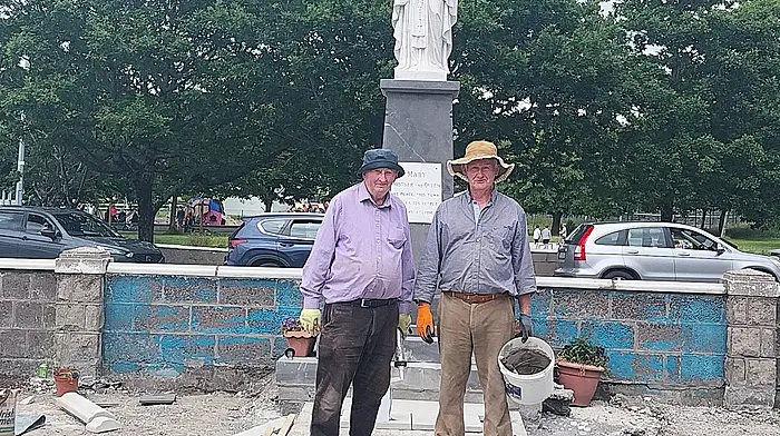 Skibbereen grotto gets an overhaul Image