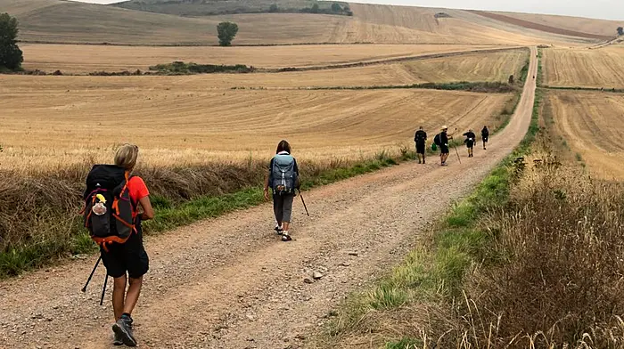Chance to walk or cycle the Camino for charity Image