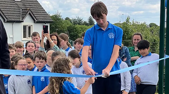 New Astroturf pitch opens at Dunderrow National School Image